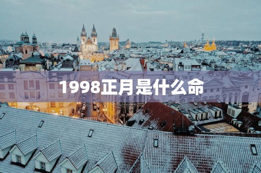 1998正月是什么命