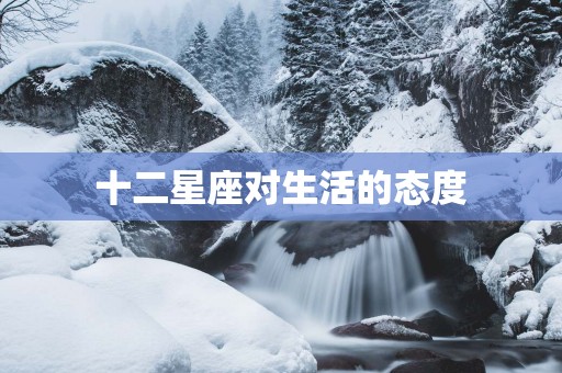 十二星座对生活的态度