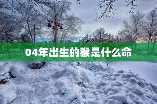 04年出生的猴是什么命
