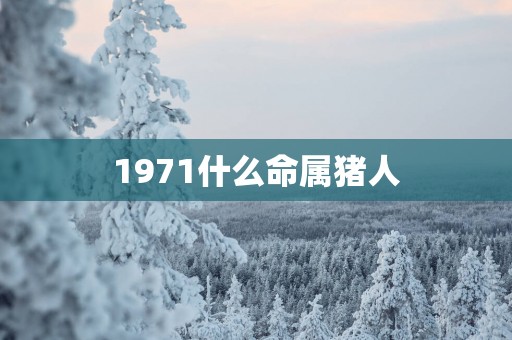 1971什么命属猪人