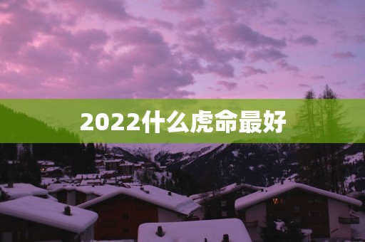 2022什么虎命最好