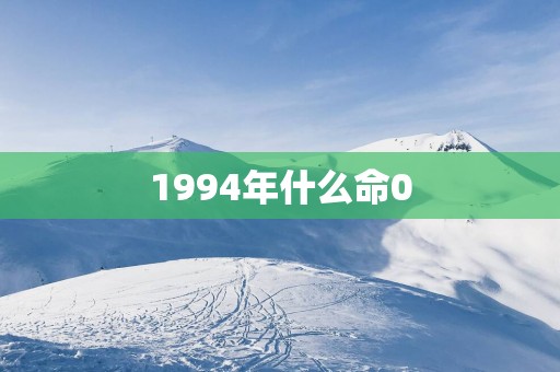 1994年什么命0