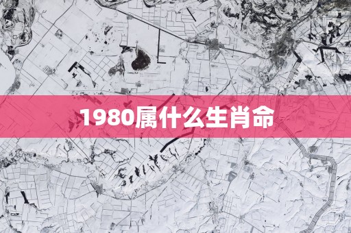 1980属什么生肖命