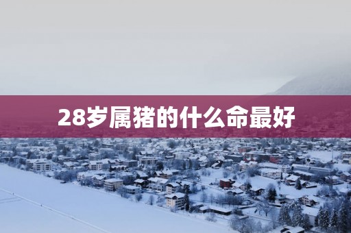 28岁属猪的什么命最好