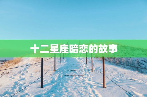 十二星座暗恋的故事