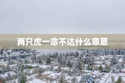 两只虎一命不达什么意思