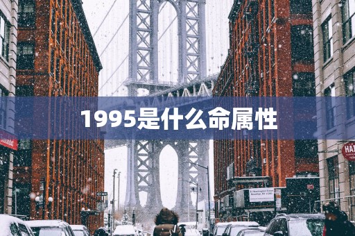 1995是什么命属性