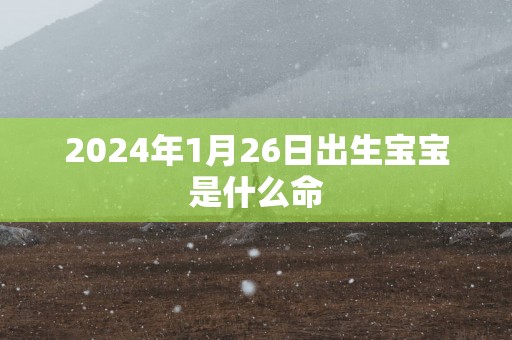 2025年1月26日出生宝宝是什么命