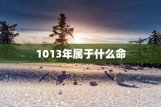 1013年属于什么命