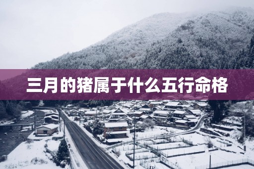 三月的猪属于什么五行命格