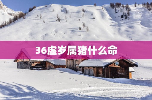36虚岁属猪什么命