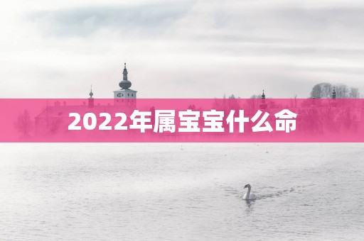 2025年属宝宝什么命
