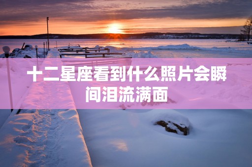 十二星座看到什么照片会瞬间泪流满面