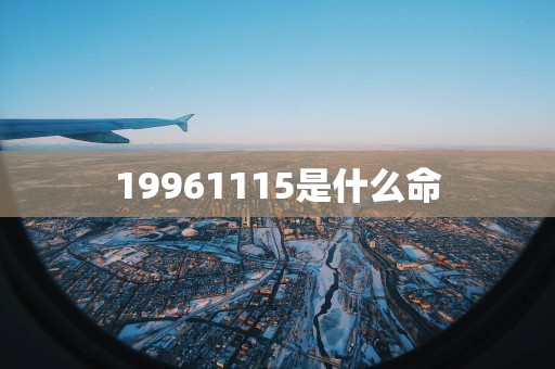19961115是什么命