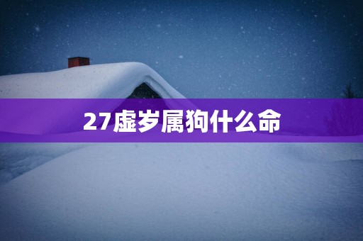 27虚岁属狗什么命