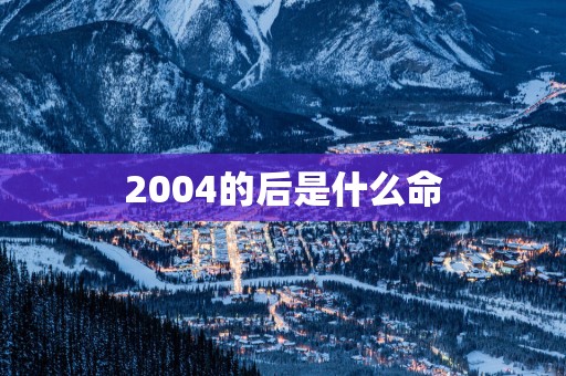 2004的后是什么命