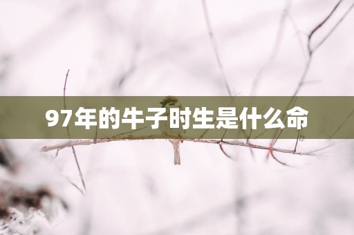 97年的牛子时生是什么命