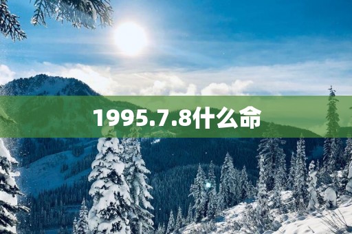1995.7.8什么命