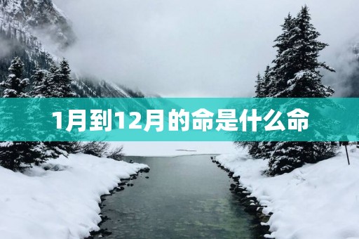 1月到12月的命是什么命