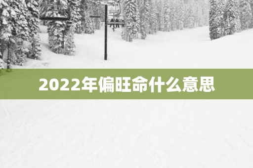 2025年偏旺命什么意思