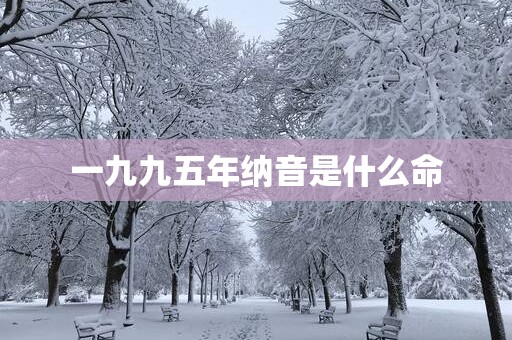 一九九五年纳音是什么命