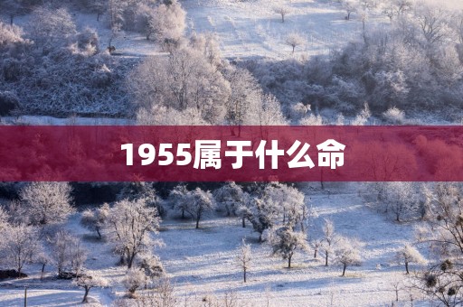 1955属于什么命