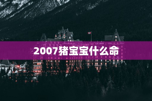 2007猪宝宝什么命