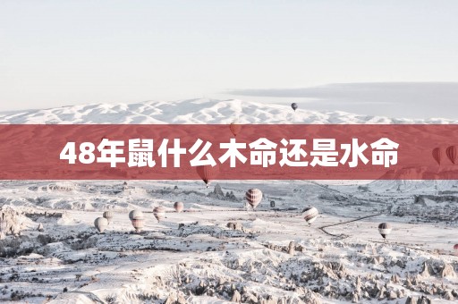 48年鼠什么木命还是水命