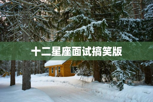 十二星座面试搞笑版