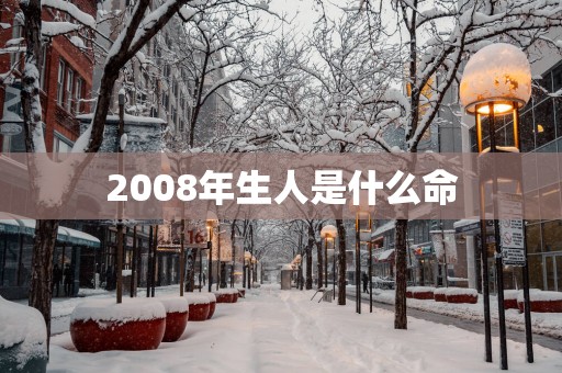 2008年生人是什么命