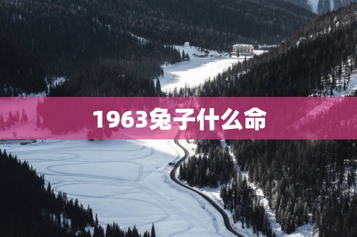 1963兔子什么命 1963兔子什么命