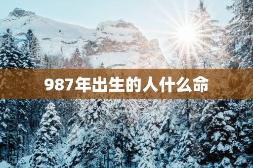 987年出生的人什么命