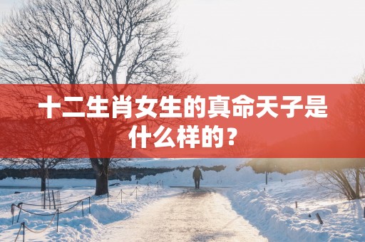 十二生肖女生的真命天子是什么样的？