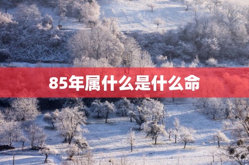 85年属什么是什么命