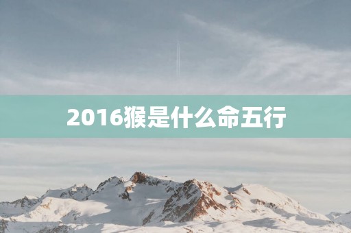 2016猴是什么命五行