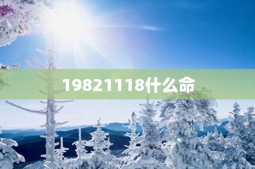 19821118什么命