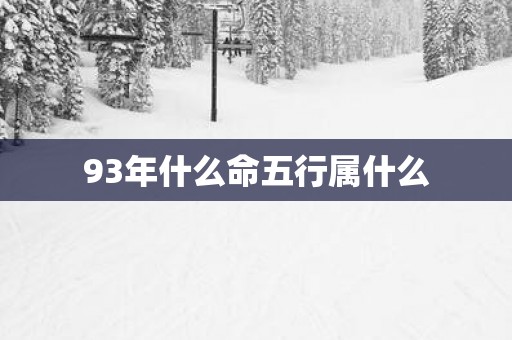 93年什么命五行属什么