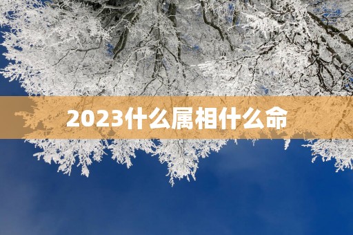 2025什么属相什么命