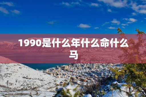 1990是什么年什么命什么马