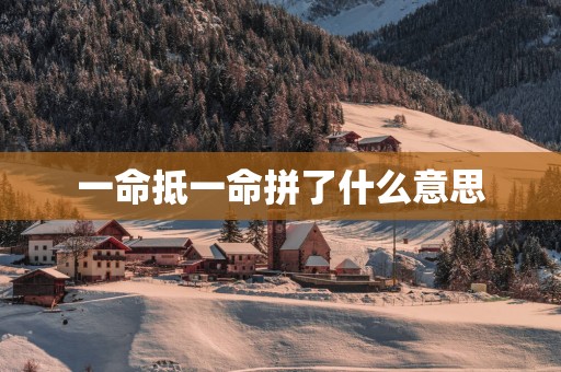 一命抵一命拼了什么意思