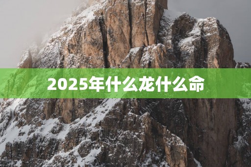 2025年什么龙什么命