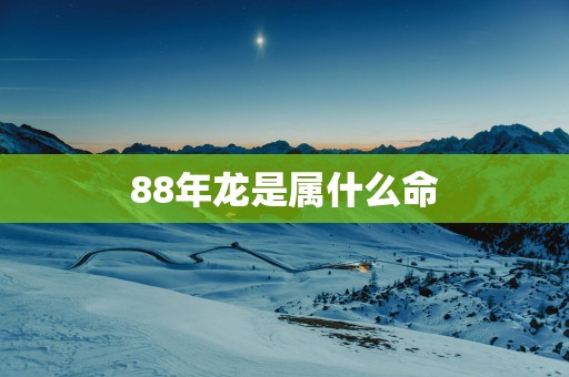 88年龙是属什么命