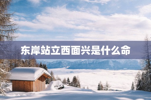 东岸站立西面兴是什么命