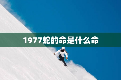 1977蛇的命是什么命