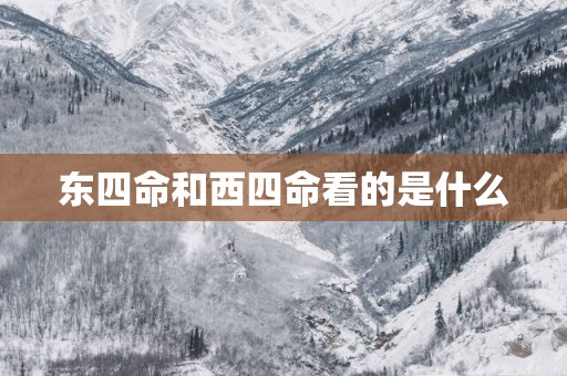 东四命和西四命看的是什么