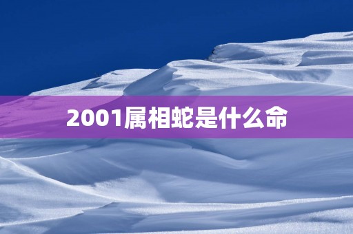 2001属相蛇是什么命