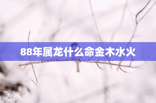 88年属龙什么命金木水火
