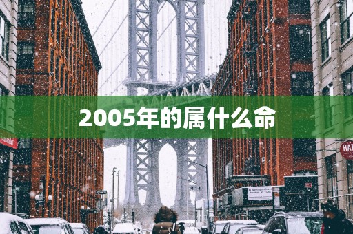 2005年的属什么命