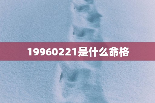 19960221是什么命格