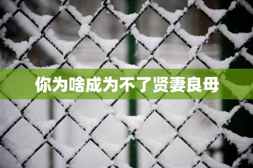 你为啥成为不了贤妻良母